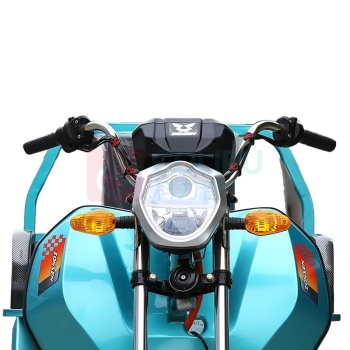 宗申 电动三轮车 100WHM1P 单排中配