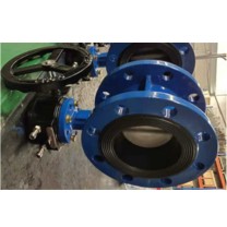 加能 海水系统 中线蝶阀 D341X-10Q/D-DN600 DN600 法兰连接 涡轮 QT450+EPDM 蝶板2507 杆20Cr13 ≤100℃ 运费另议