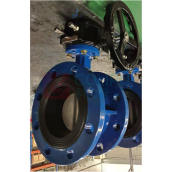 加能 海水系统 中线蝶阀 D341X-16Q/D-DN500 DN500 法兰连接 涡轮 QT450+EPDM 蝶板2507 杆17-4PH ≤100℃ 运费另议