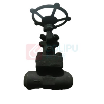 远大阀门 真空截止阀 NKJ61Y-40I-DN25 材质F11 内件双STL 接管Φ34×4.5