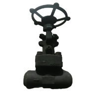 远大阀门 真空截止阀 NKJ61Y-40I-DN25 材质F11 内件双STL 接管Φ34×4.5
