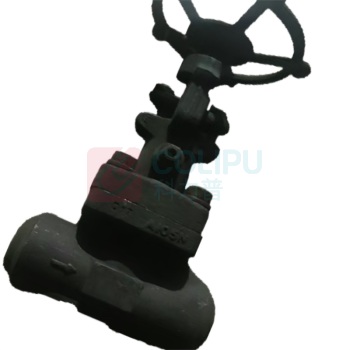 远大阀门 真空截止阀 NKJ61Y-40I-DN25 材质F11 内件双STL 接管Φ34×4.5