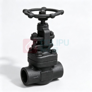 远大阀门 截止阀 J61Y-100-DN25 材质F11 内件STL