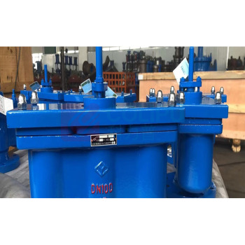 远大阀门 双口排气阀 QB2-16C-DN300 阀体WCB 橡胶密封 浮球304,适用介质:水 温度小于80度