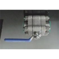 加能 F316L锻件球阀 Q61F-100RL-DN50 DN50 焊接球阀 三片式 焊接 公称压力100bar 运费另议
