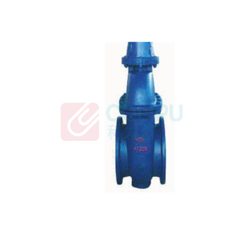 远大阀门 平行式双闸板闸阀 Z42W-1.0,DN300
