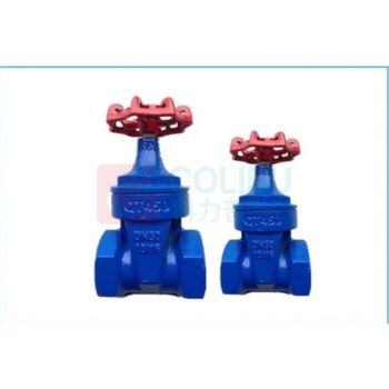 加能 QT450丝扣闸阀 Z15X-10Q-DN20 DN20 螺纹连接接口 球墨铸铁阀体 公称压力10bar 适用温度<80℃ 运费另议