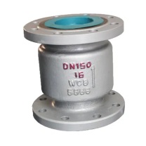 YXSROCE 立式止回阀 H42H-16C DN150