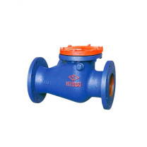 远大阀门 止回阀 H44T-10-DN250 连接形式:法兰,,阀体材料:铸铁