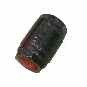 远大阀门 立式止回阀(软密封) H12X-16-DN50 内螺纹接口 黄铜阀体 公称压力PN16 适用温度≤150℃ 江浙沪含运,其余地区运费另议
