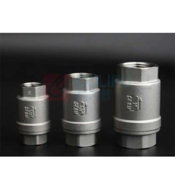 加能 CF8立式止回阀 H12W-16P-DN20 DN20 内螺纹接口 公称压力16bar 适用温度-20~180℃ 运费另议