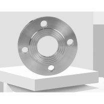 重安盛鼎 法兰 DN20-10kg