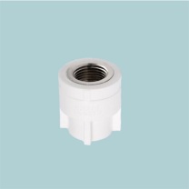 润宏工品 ppr水管配件 内丝直接 内牙直接 自来水管接头 32*1/2 一个 (白色)