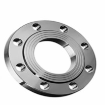 博林豪特 平面对焊钢制管法兰 1Cr18Ni9Ti (DN100) 