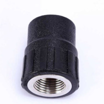 润宏工品 PE水管配件内丝直接 S20*1/2F 一个 (黑色)