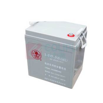 火炬 电动车用胶体蓄电池 3-EVF-200 200Ah