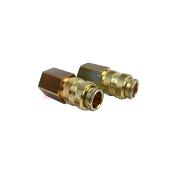派克 PARKER 快换接头 21KAIW13MPX