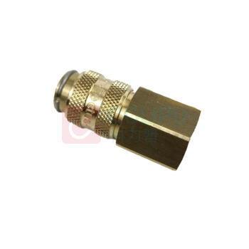 派克 PARKER 快换接头 21KAIW13MPX