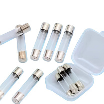 新科 SHINCO 保险丝管 6*30mm