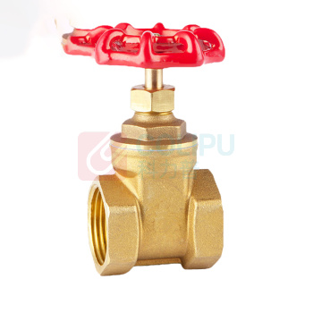 卓炫 铜双内丝 TY-10 DN20(5个) (原色)