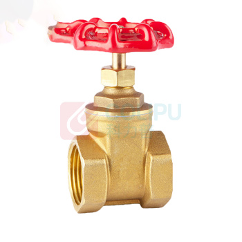 卓炫 铜双内丝 TY-10 DN20(5个) (原色)