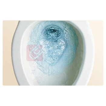 科勒 KOHLER 圣拉菲尔马桶 305坑距 适用305-390mm 743mm*519mm*610mm (白色) 五级旋风虹吸冲水