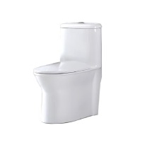 TOTO 通用马桶 D020