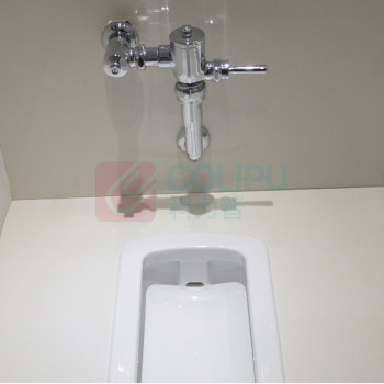 TOTO 蹲便脚踏冲水阀 DC603VLFC (偏远地区运费另议)