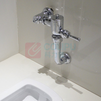 TOTO 蹲便脚踏冲水阀 DC603VLFC (偏远地区运费另议)