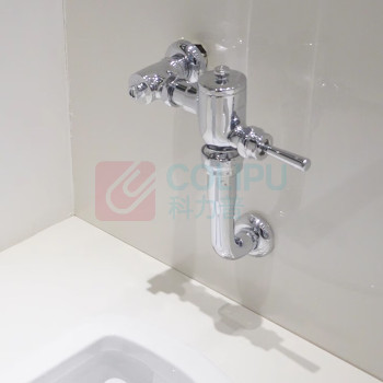 TOTO 蹲便脚踏冲水阀 DC603VLFC (偏远地区运费另议)