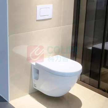 TOTO 挂墙式马桶 CW762B (偏远地区运费另议)