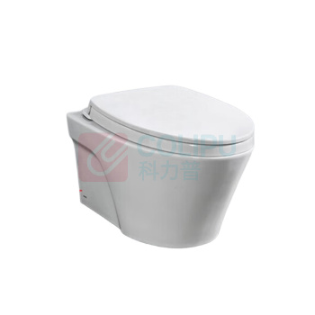TOTO 马桶 CW822EB