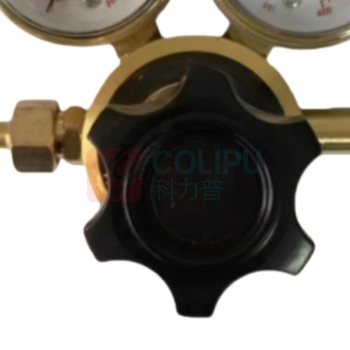 运蔚蓝 不锈钢减压器 25/10MDS 货期30天
