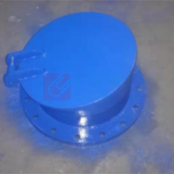 远大阀门 潮门阀 PM-1C-DN250 橡胶密封,竖拍 温度:温度小于80度