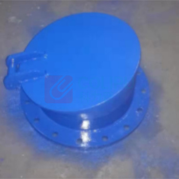 远大阀门 潮门阀 PM-1C-DN250 橡胶密封,竖拍 温度:温度小于80度