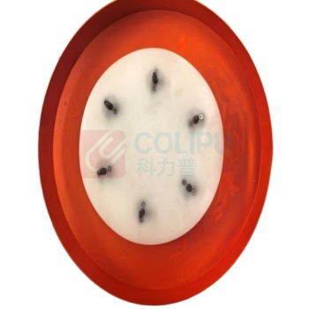 中睽 刮料系统 ZK-GLXT-016