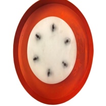 中睽 刮料系统 ZK-GLXT-016