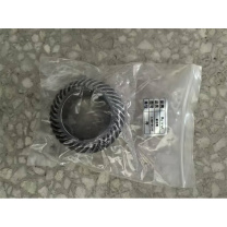 Ruirst 斜齿轮 L100-D121Y