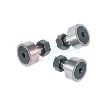 虎轴 凸轮轴承随动器 BPF05-d6-PP