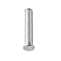 虎轴 铰链销 MIC14-D3-L9.6