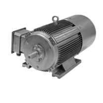 双帆 电机 YE3-250M-2-55KW-IP55-F级-B3