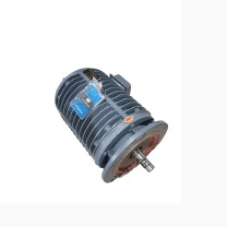 XMSJ 立式卧式变频调速三相交流异步辊道电机辊道减速电机 YGP200L-8灰 -11W