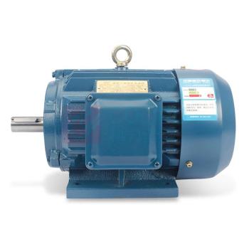 XMSJ 电动机 YE2 132M1 4KW-6