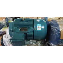 三通正一 电机 YE3-160M-4/380V/11KW 卧式 