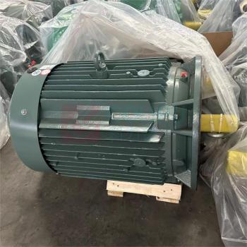 大中电机 低压电动机 YE4-100L1-4-2.2KW (原Y2-100L1-4 2.2KW) 2级能效 1410r/min 380V 5.09A F级 IP55 Y接 立式安装 