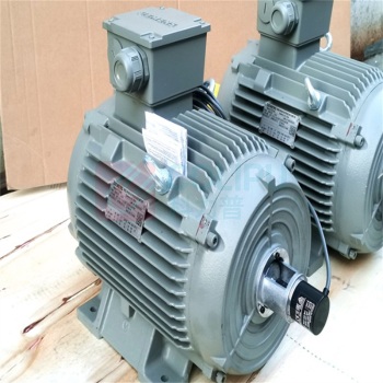 宁上 电机 1TL0003-2BB23-3AA5 45KW 4P B3