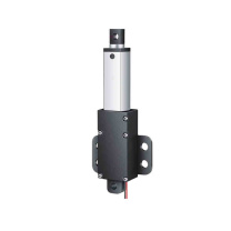 智探政物 微型电动推杆 直线电机伸缩杆 30mm24V-30mm/S-20N (2KG)