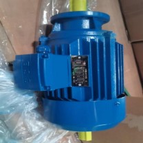 东元 电动机 J-S90L-8 380V 0.55KW IP55 F级 B5 非驱动端轴加长可盘车