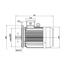 天能 三相异步电机 1LE1003-1AB52-1JA4 3KW_220/380V_10.9/6.3A