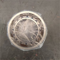 斯凯孚 支撑轴承 SKA252